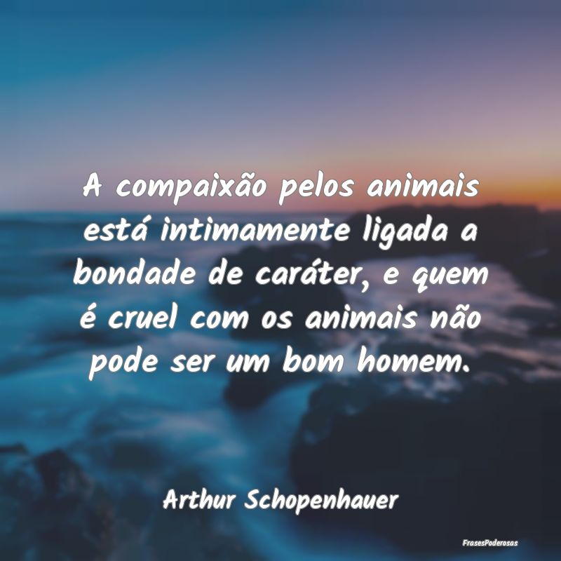 A compaixão pelos animais está intimamente ligad... A compaixão pelos animais está intimamente ligad...