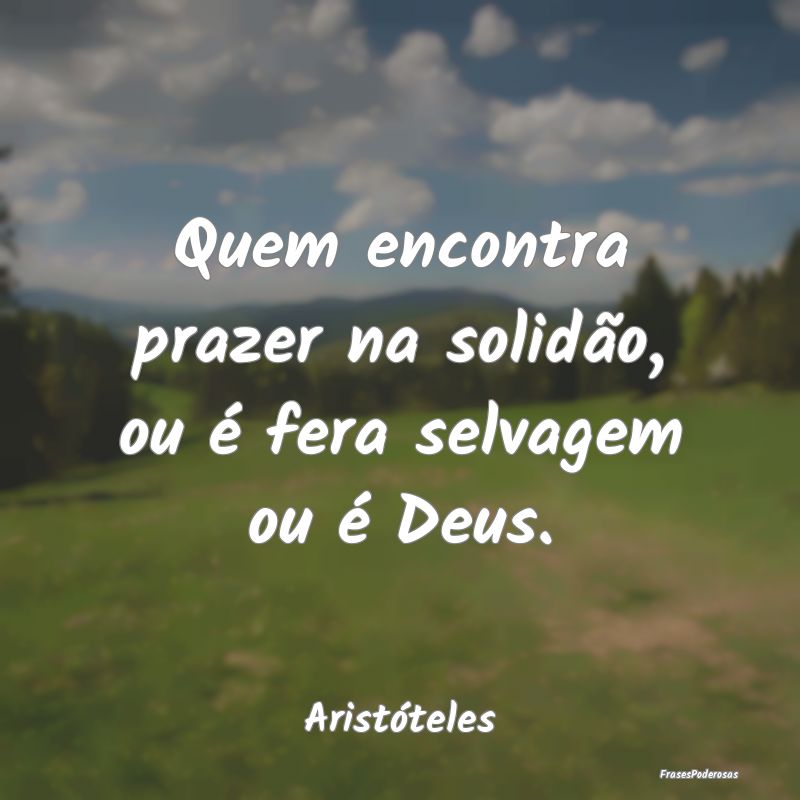 Quem encontra prazer na solidão, ou é fera selva...
