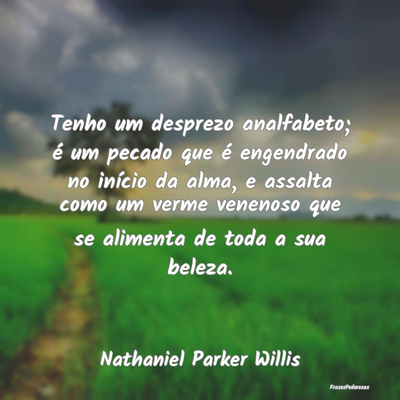 Tenho um desprezo analfabeto; é um pecado que é ... Tenho um desprezo analfabeto; é um pecado que é ...
