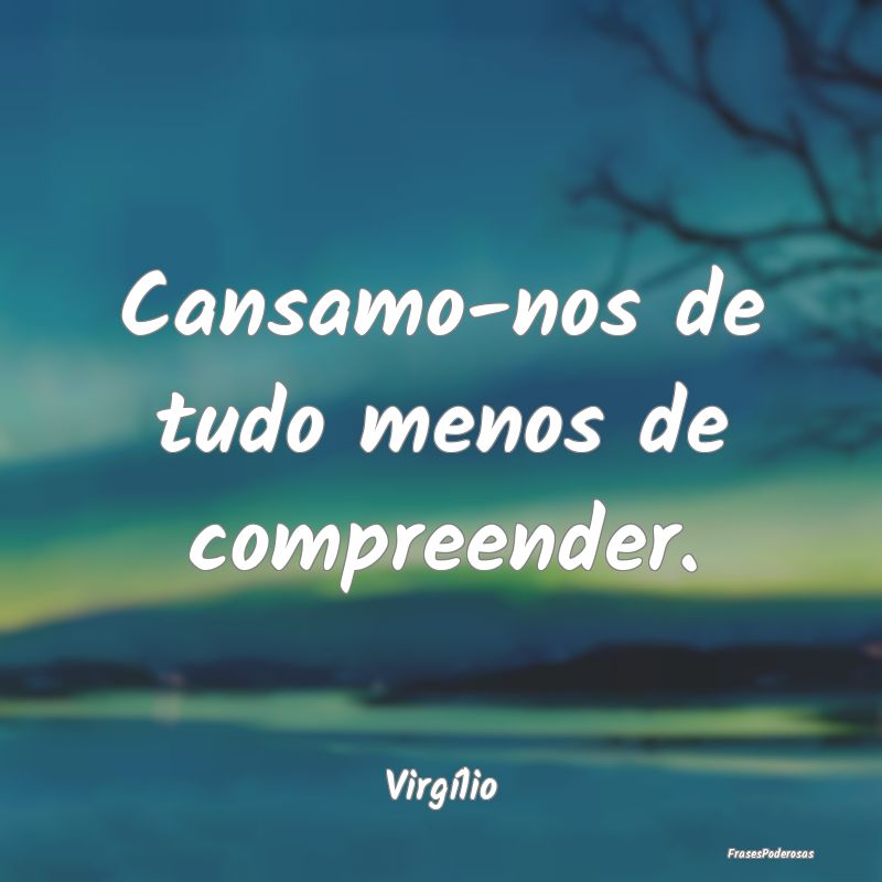 Cansamo-nos de tudo menos de compreender....