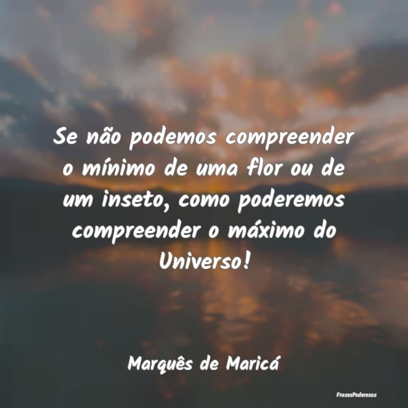 Se não podemos compreender o mínimo de uma flor ... Se não podemos compreender o mínimo de uma flor ...