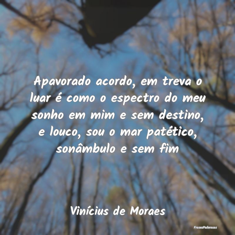 Apavorado acordo, em treva o luar é como o espect... Apavorado acordo, em treva o luar é como o espect...