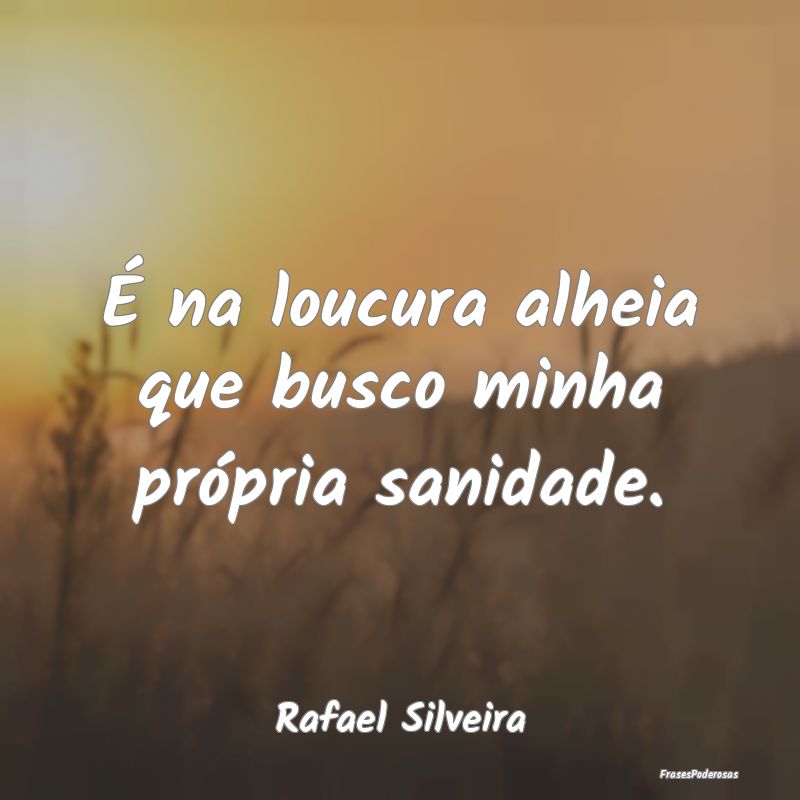 É na loucura alheia que busco minha própria sani...