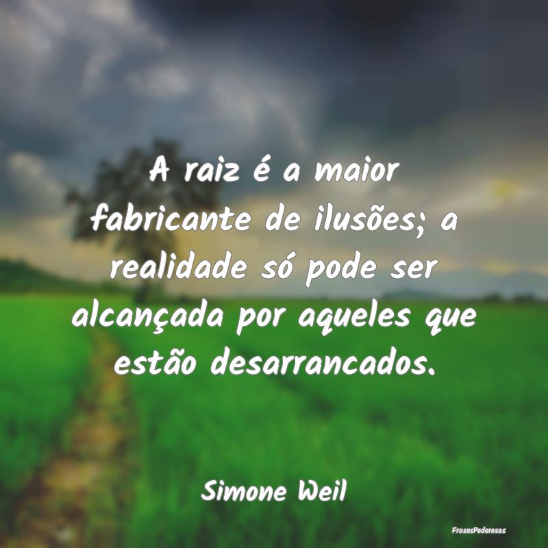 A raiz é a maior fabricante de ilusões; a realid...