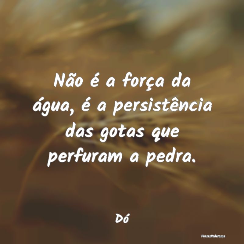 Não é a força da água, é a persistência das ...