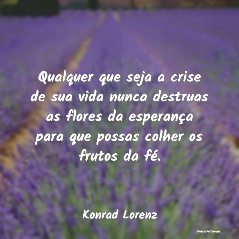 Qualquer que seja a crise de sua vida nunca destru... Qualquer que seja a crise de sua vida nunca destru...