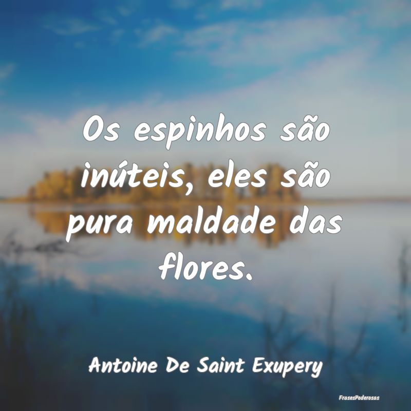Os espinhos são inúteis, eles são pura maldade ...