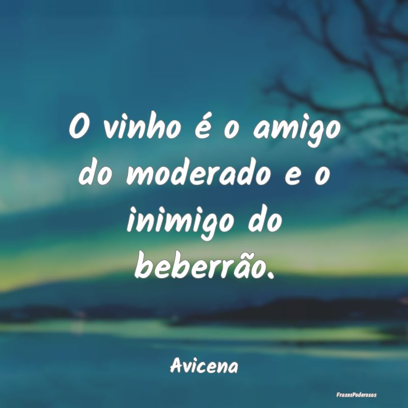 O vinho é o amigo do moderado e o inimigo do bebe...