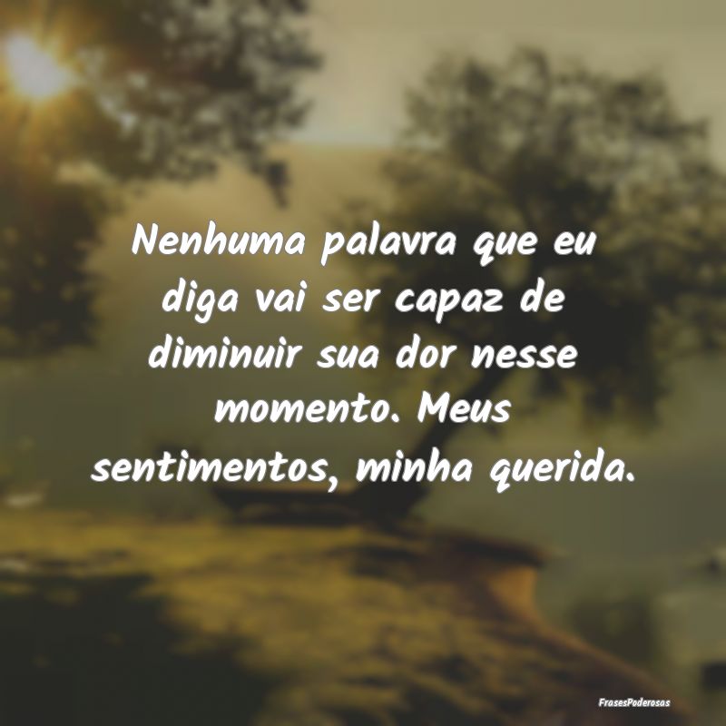 Nenhuma palavra que eu diga vai ser capaz de dimin...