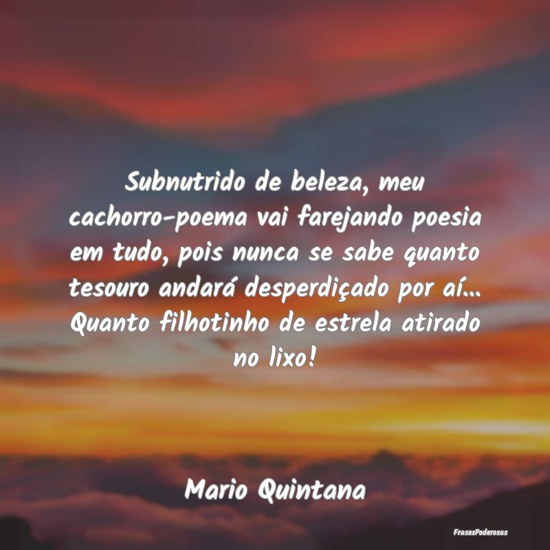 Subnutrido de beleza, meu cachorro-poema vai farej... Subnutrido de beleza, meu cachorro-poema vai farej...