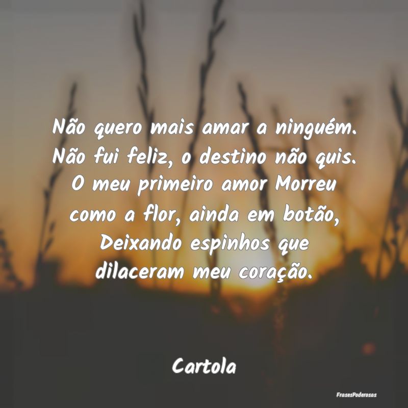 Não quero mais amar a ninguém. Não fui feliz, o... Não quero mais amar a ninguém. Não fui feliz, o...