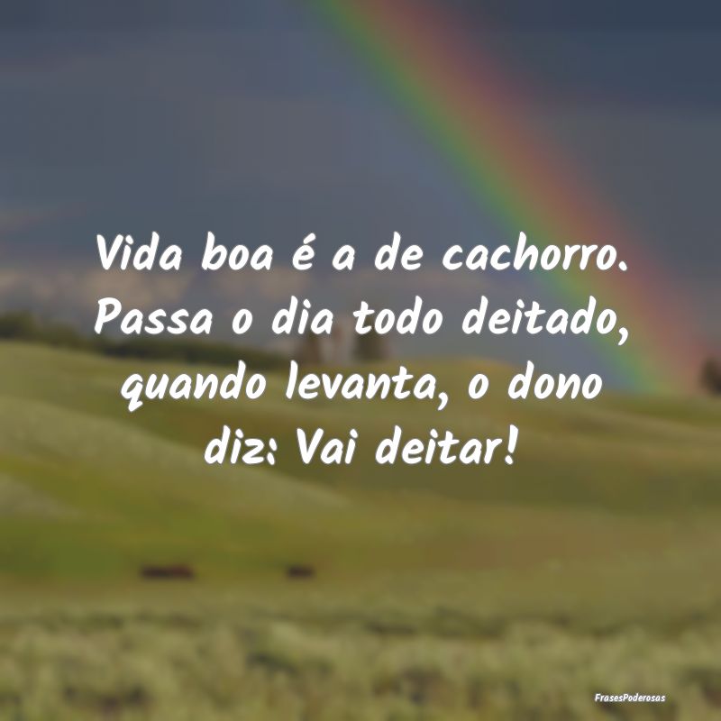 Vida boa é a de cachorro. Passa o dia todo deitad...