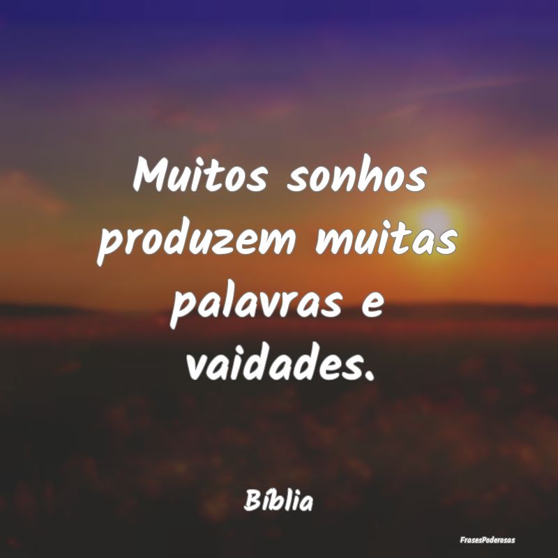 Muitos sonhos produzem muitas palavras e vaidades....