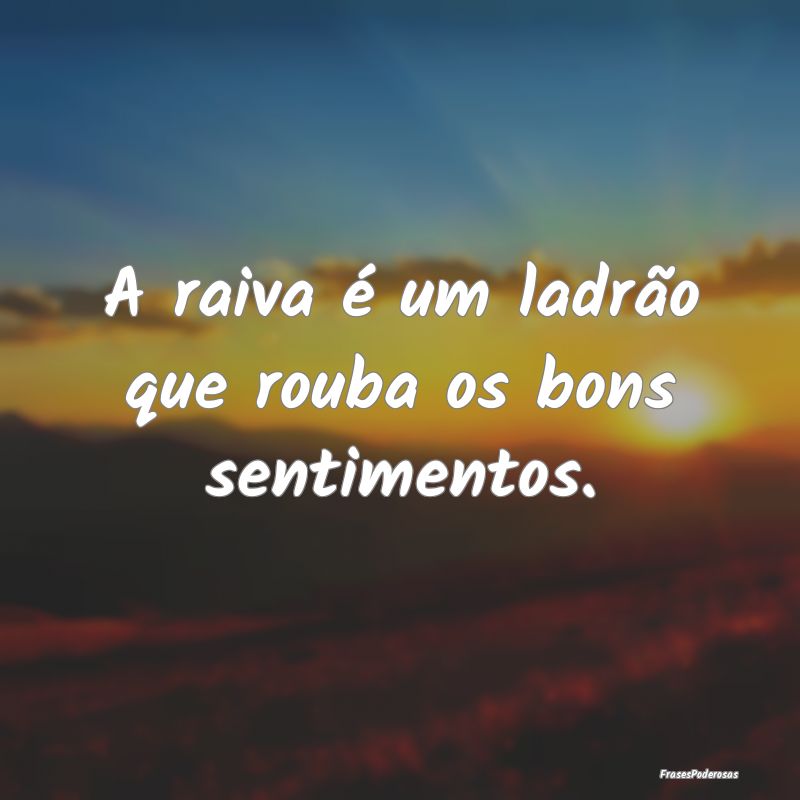 A raiva é um ladrão que rouba os bons sentimento...