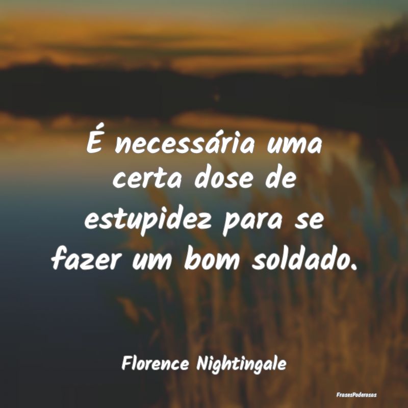 É necessária uma certa dose de estupidez para se...
