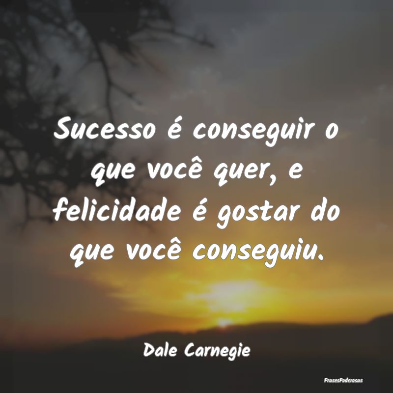 Sucesso é conseguir o que você quer, e felicidad...