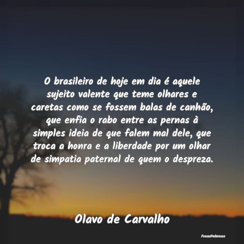 O brasileiro de hoje em dia é aquele sujeito vale... O brasileiro de hoje em dia é aquele sujeito vale...