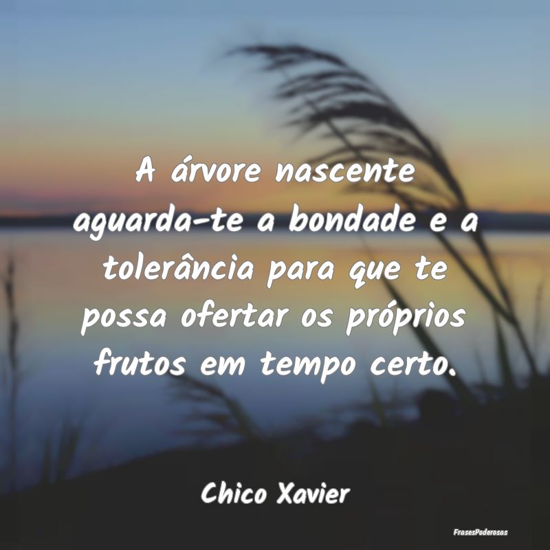 A árvore nascente aguarda-te a bondade e a tolerÃ... A árvore nascente aguarda-te a bondade e a tolerÃ...